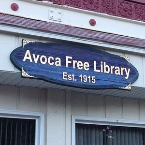 Blue Avoca free library sign
